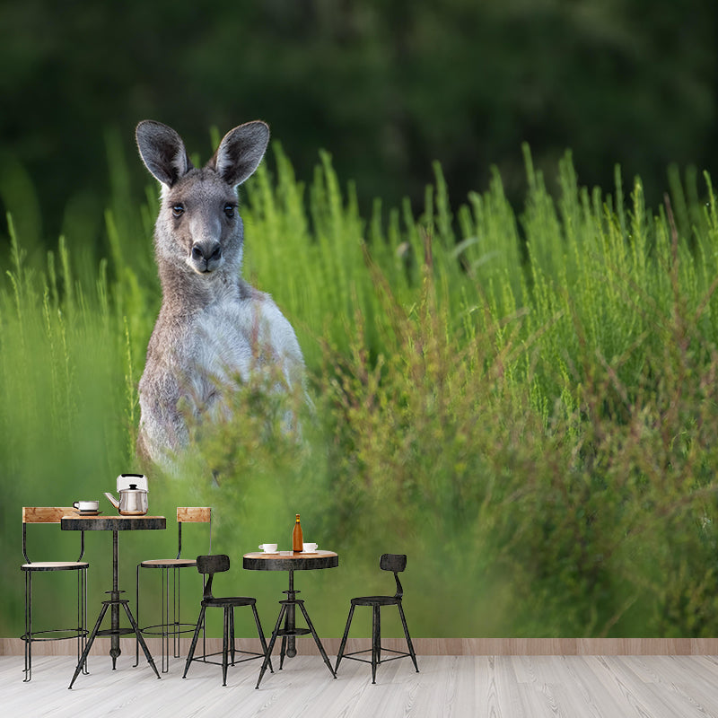 Strong Kangaroo Mural Photography Mildew Resistant Boys Room Mural Wall Art