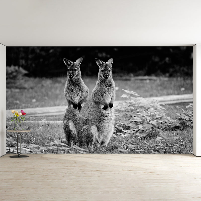 Strong Kangaroo Mural Photography Mildew Resistant Boys Room Mural Wall Art