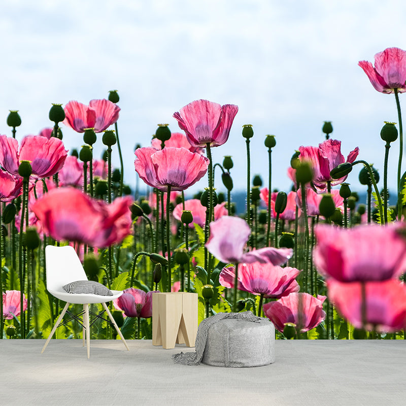 Full Size Photography Modern Mural Decal with Blossoming Poppy for Living Room