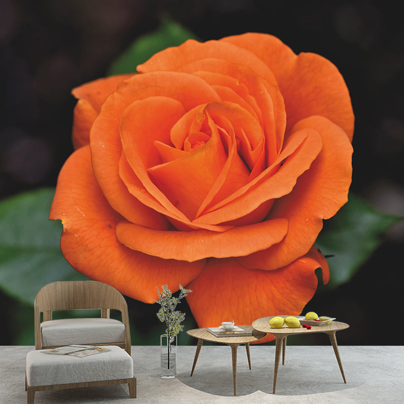 Contemporary Rose Flower Wall Mural Stain Resistant Wall Art for Living Room