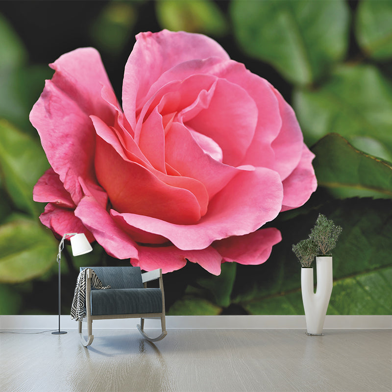 Contemporary Rose Flower Wall Mural Stain Resistant Wall Art for Living Room