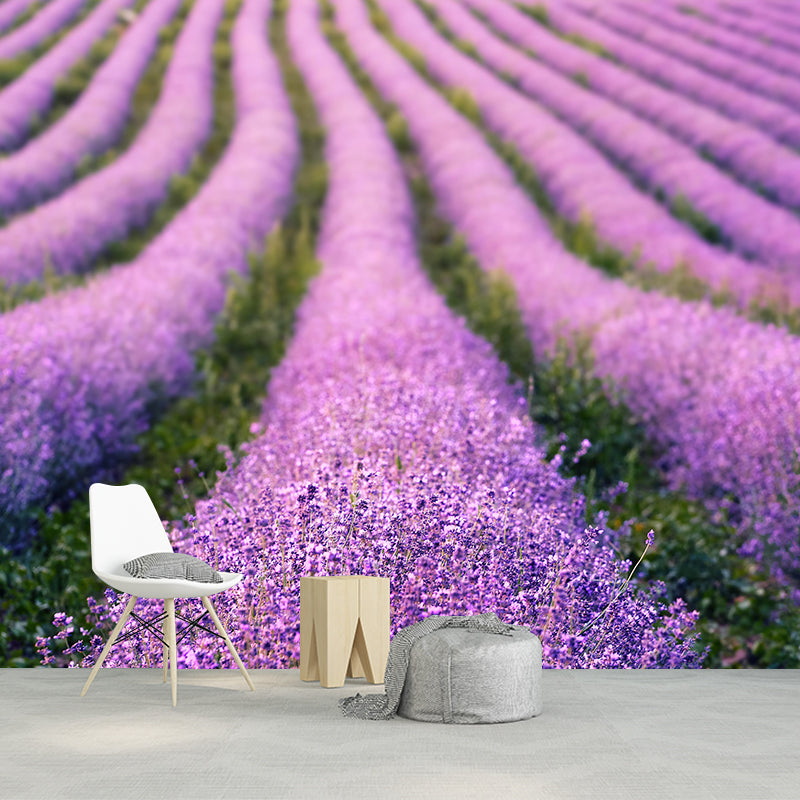 Contemporary Photography Beautiful Lavender Mural in Purple for Home Decor
