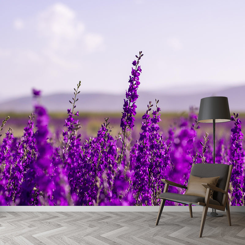 Contemporary Photography Beautiful Lavender Mural in Purple for Home Decor