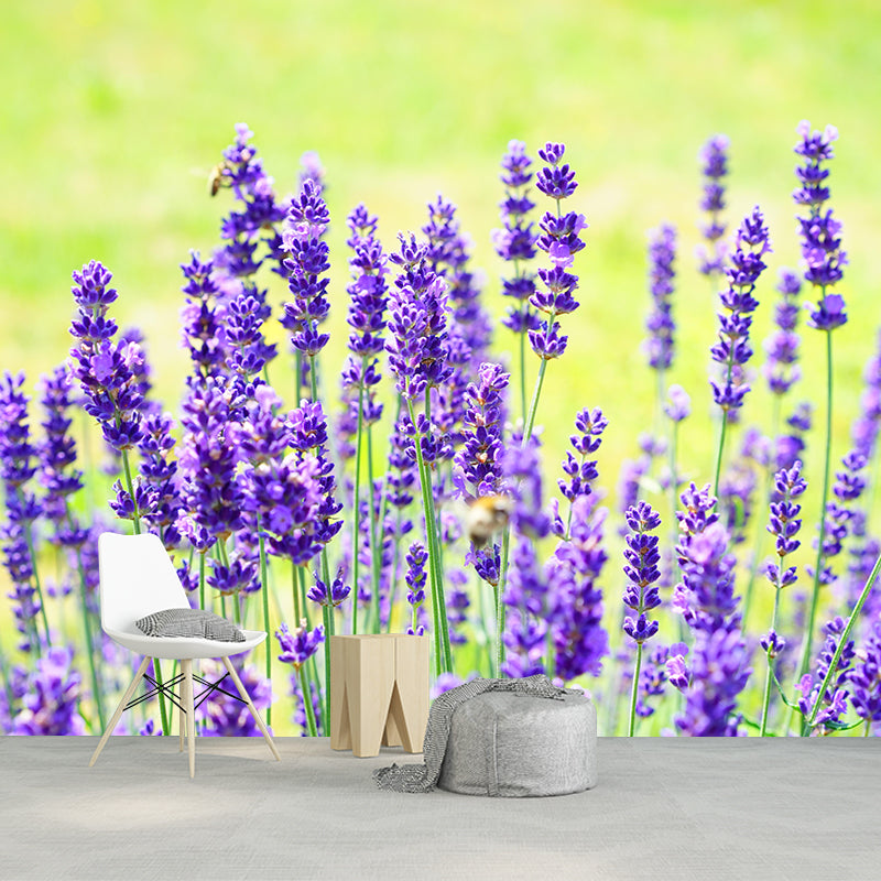 Contemporary Photography Beautiful Lavender Mural in Purple for Home Decor