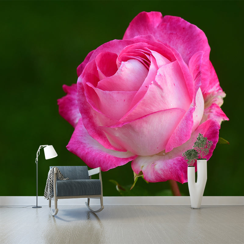 Blooming Rose Wall Mural Decal for Home Decoration Washable, Made to Measure