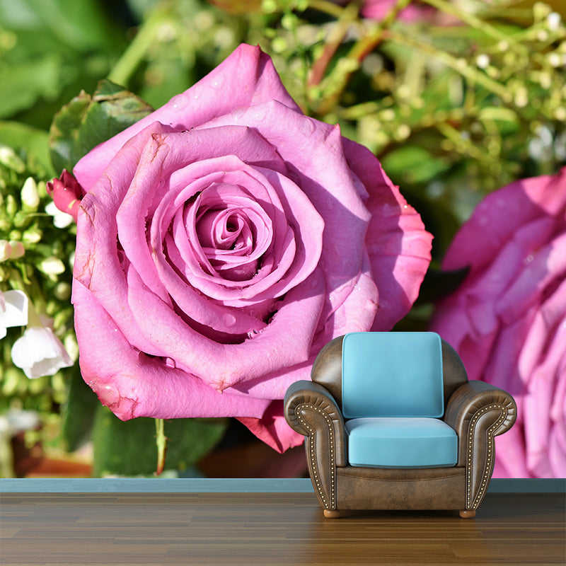 Blooming Rose Wall Mural Decal for Home Decoration Washable, Made to Measure