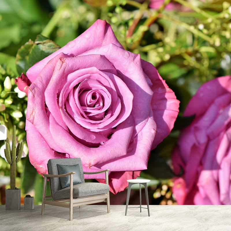 Blooming Rose Wall Mural Decal for Home Decoration Washable, Made to Measure