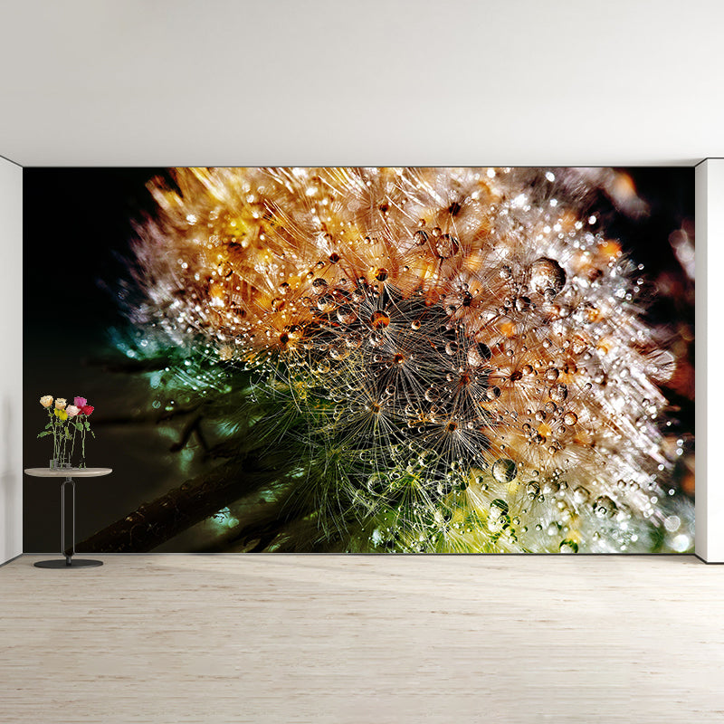 Photographie contemporaine, pissenlit en fleurs, peinture murale, couleur douce, pour la décoration de la maison