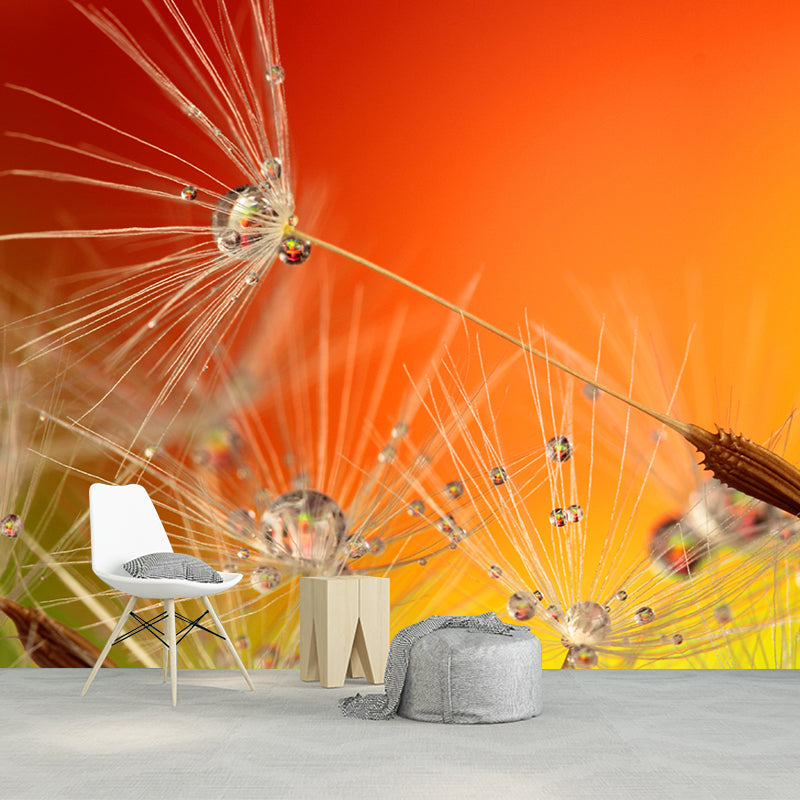Contemporary Photography Blossoming Dandelion Mural Soft Color for Home Decor