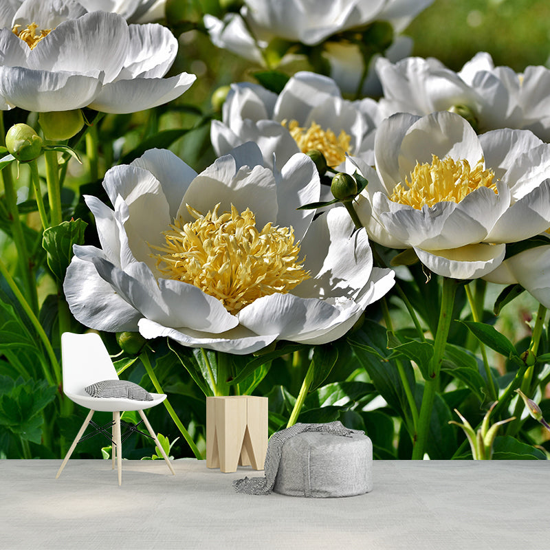 Full Size Photography Modern Mural Decal with Blossoming Peony for Living Room