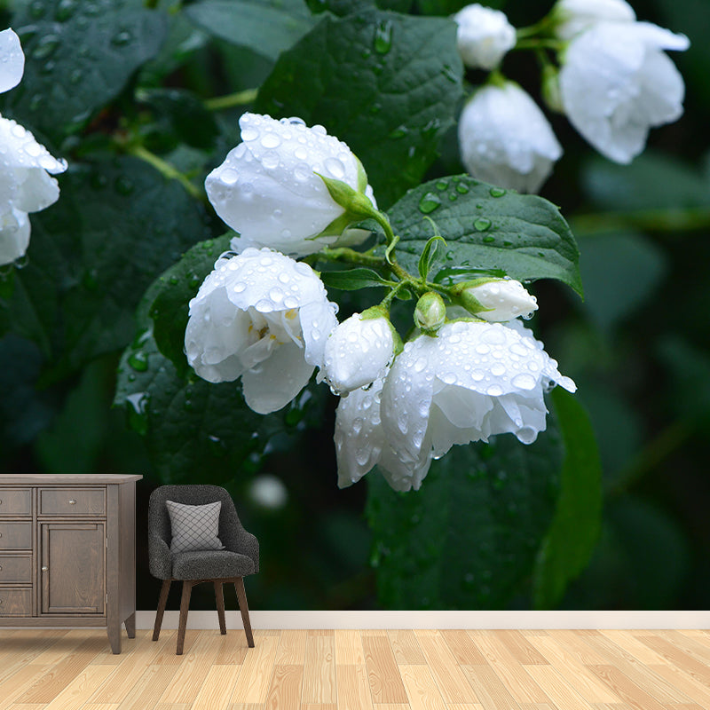 Photography Blossoming Jasmine Mural Decal Mildew Resistant Whole Wall Decor for Girls Room