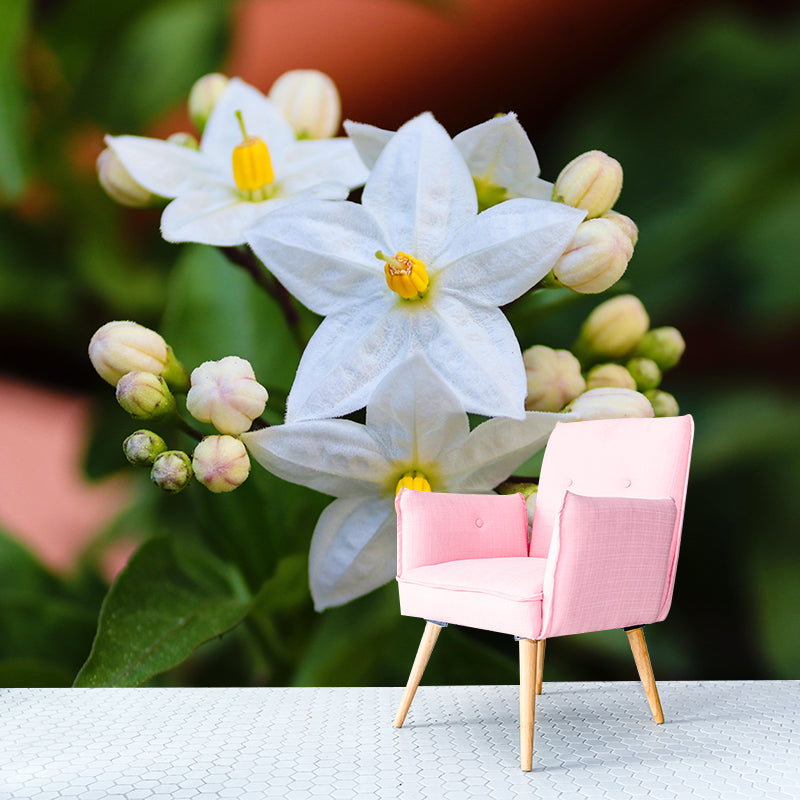 Photography Blossoming Jasmine Mural Decal Mildew Resistant Whole Wall Decor for Girls Room