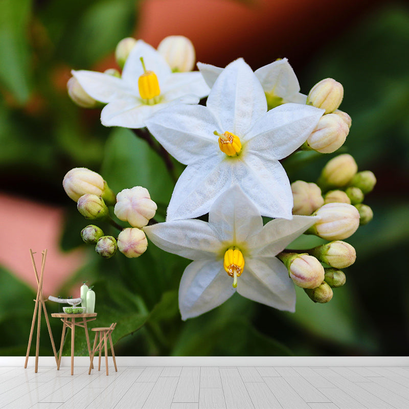 Photography Blossoming Jasmine Mural Decal Mildew Resistant Whole Wall Decor for Girls Room