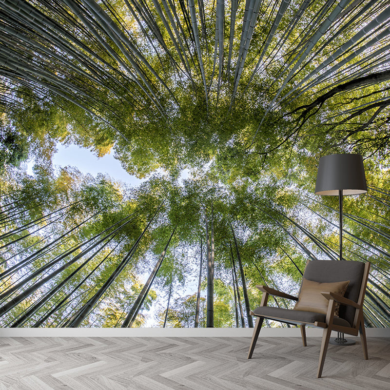 Light Color Bamboo Landscape Mural Moisture Resistant Modern Style Bedroom Wall Art