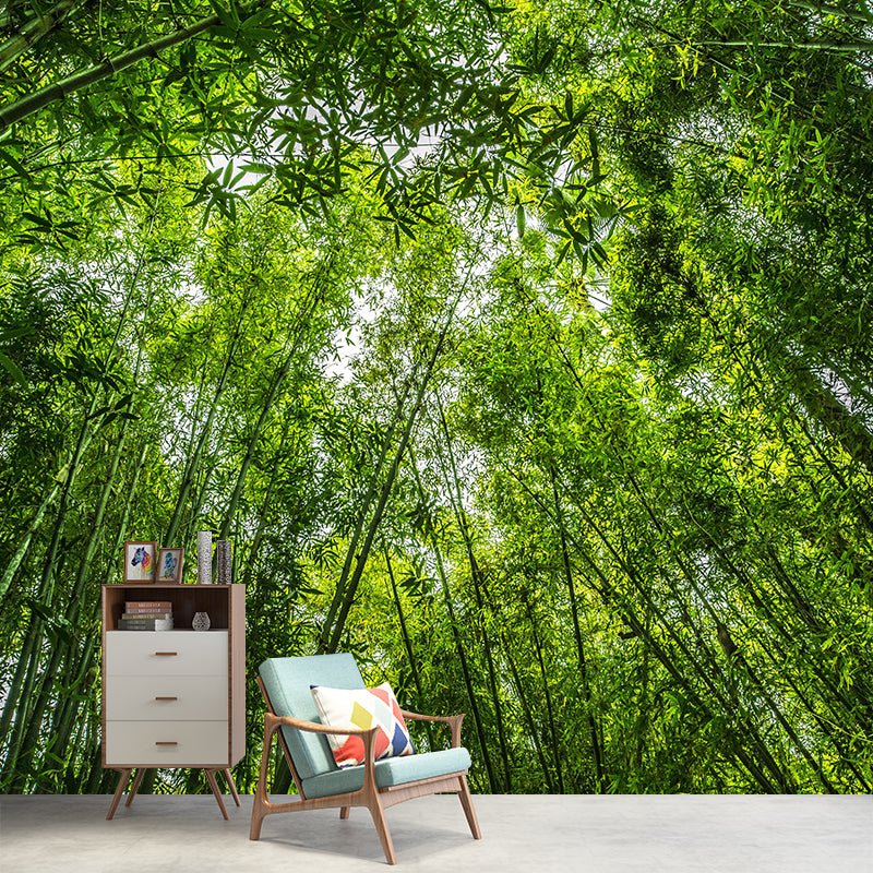 Light Color Bamboo Landscape Mural Moisture Resistant Modern Style Bedroom Wall Art