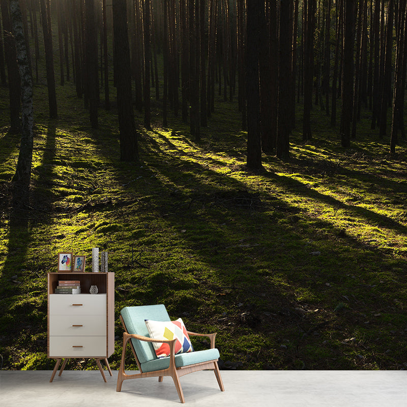 Mysterious Forest Landscape Mural Moisture Resistant Modern Style Bedroom Wall Art