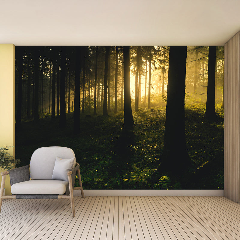 Mysterious Forest Landscape Mural Moisture Resistant Modern Style Bedroom Wall Art