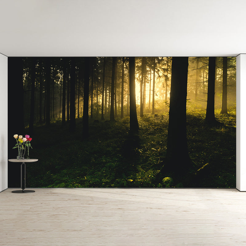 Mysterious Forest Landscape Mural Moisture Resistant Modern Style Bedroom Wall Art