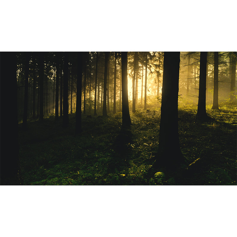 Mysterious Forest Landscape Mural Moisture Resistant Modern Style Bedroom Wall Art