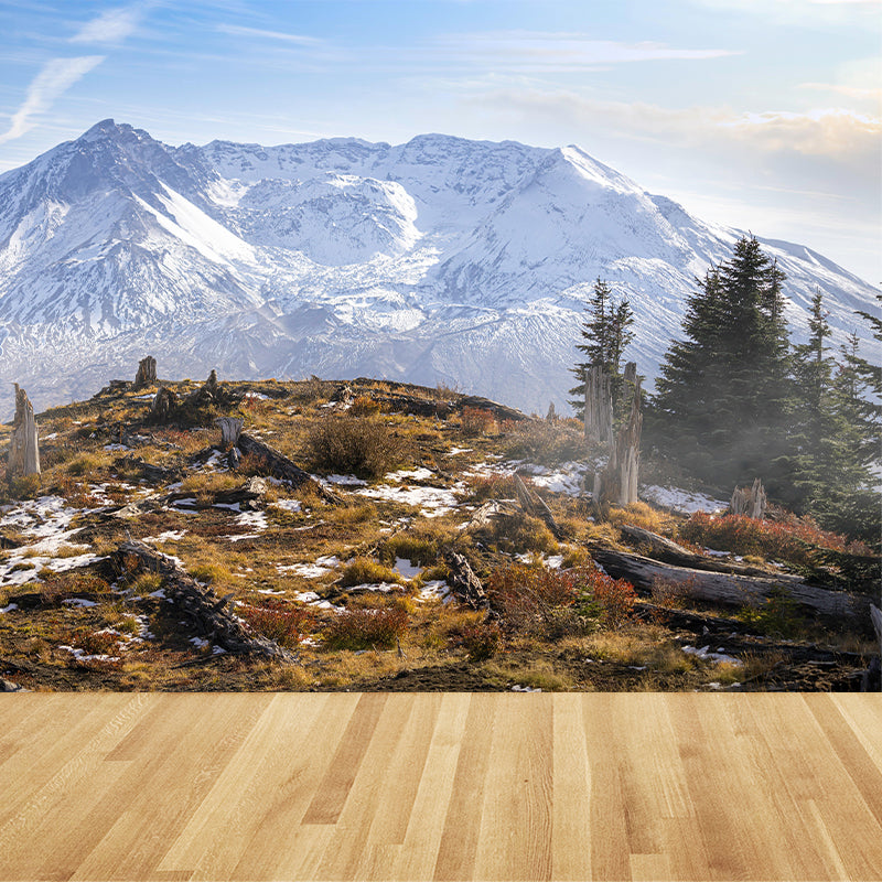 St Helens Mountain Mural Modern Style Mildew Resistant Living Room Wall Covering