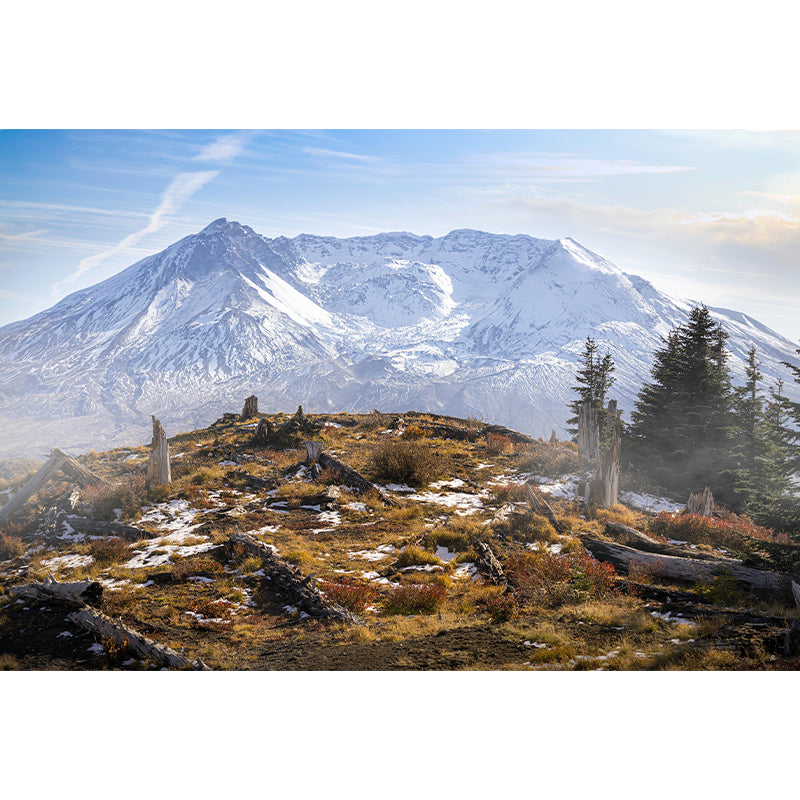 St Helens Mountain Mural Modern Style Mildew Resistant Living Room Wall Covering