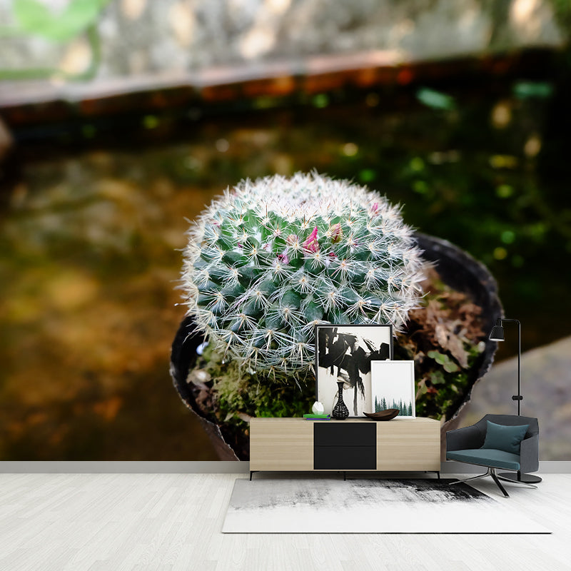 Green Cactus Mural Wallpaper Contemporary Home Decoration for Living Room