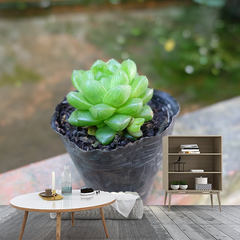 Green Cactus Mural Wallpaper Contemporary Home Decoration for Living Room