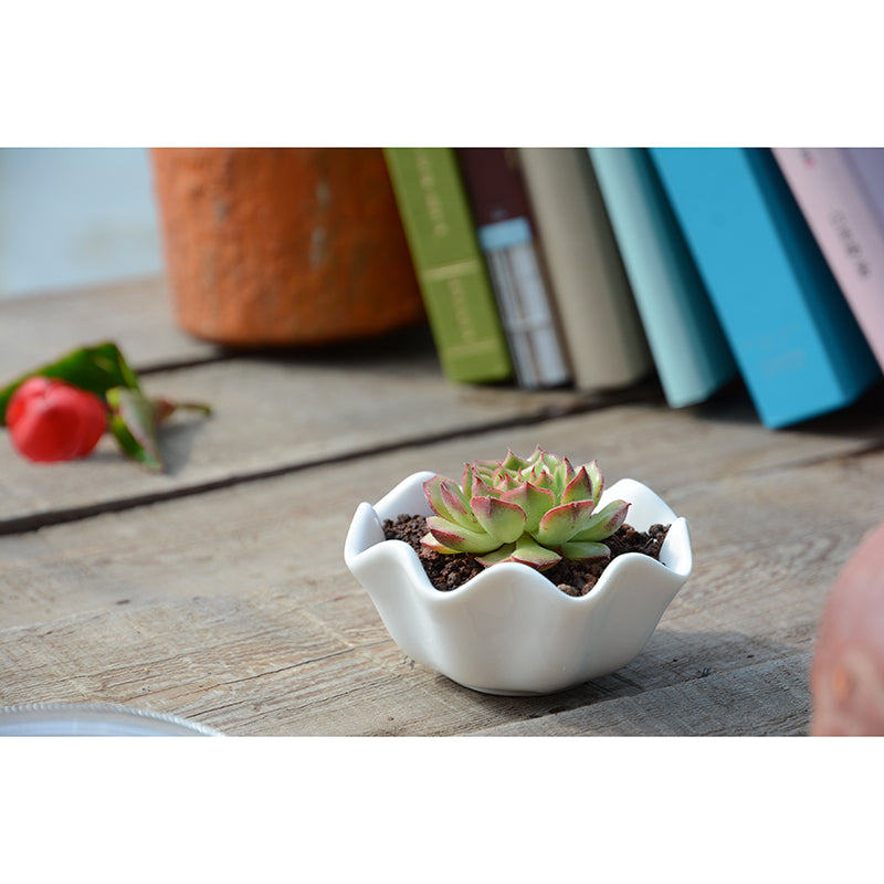 Green Tropical Plant Wall Covering for Study Room, Personalized Size Available