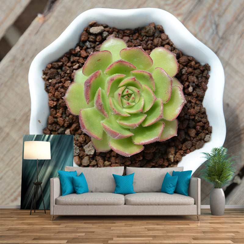 Green Tropical Plant Wall Covering for Study Room, Personalized Size Available