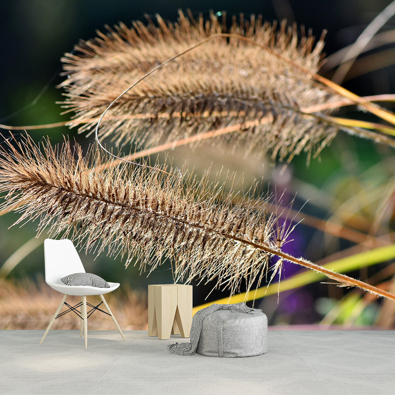 Reed Wall Mural Decal Customized Size Minimalist Wall Art for Meeting Room