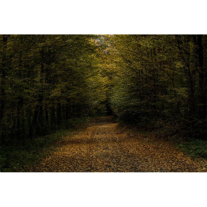 Contemporary Forest Landscape Mural Wall Covering for Bedroom, Waterproofing