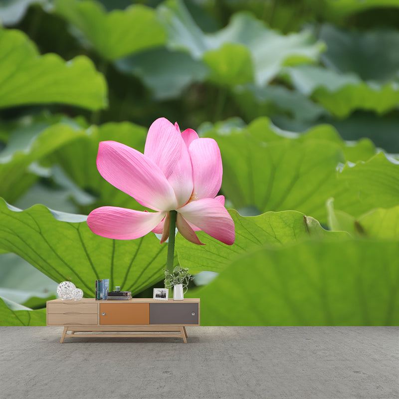 Pure Lotus Mural Wallpaper in Pink Bedroom Decorative Wall Covering, Custom-Printed
