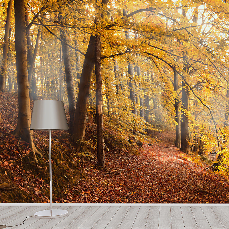 Forest Mural Wallpaper Scenery Modern Waterproof Wall Art for Living Room