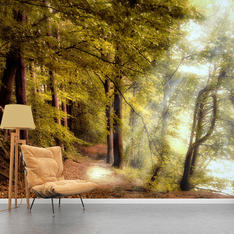 Forest Mural Wallpaper Scenery Modern Waterproof Wall Art for Living Room