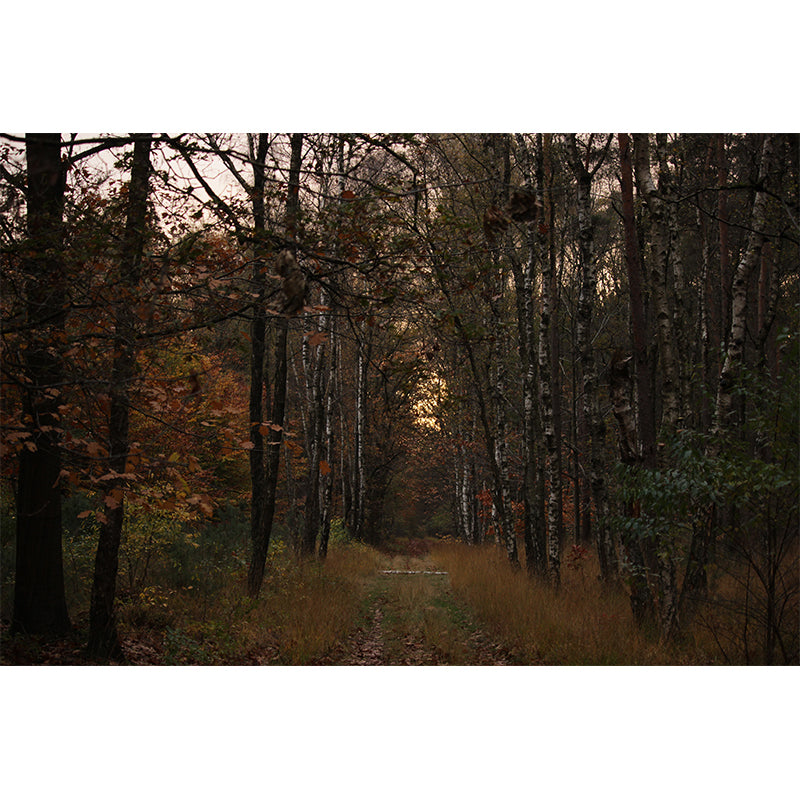 Forest Wall Mural Modernism Wall Decoration for Bedroom, Customer Size