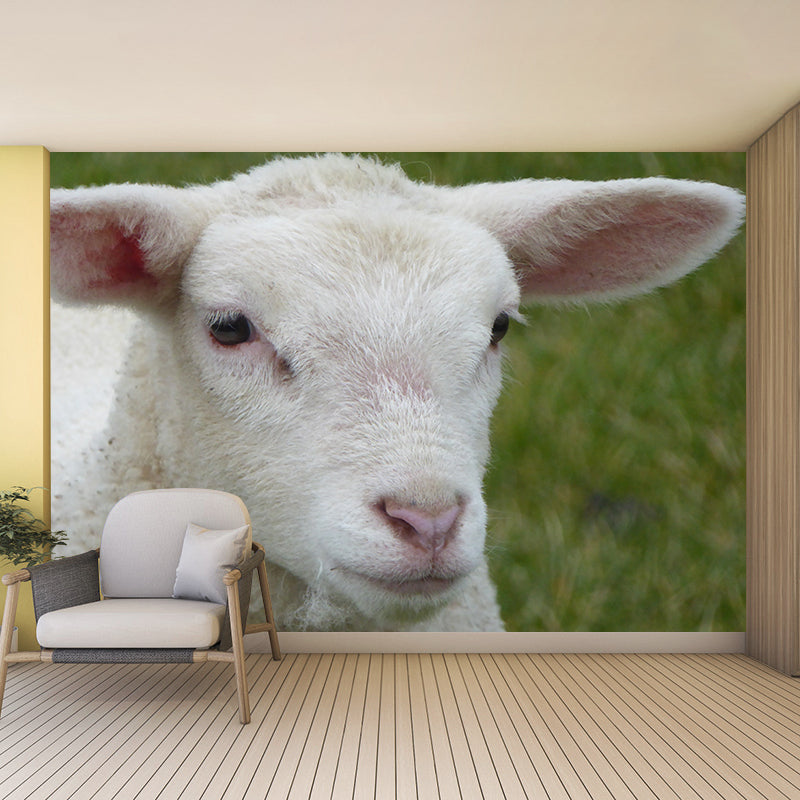 Cute Sheep Mural Decal Customized Modern Wall Covering for Living Room