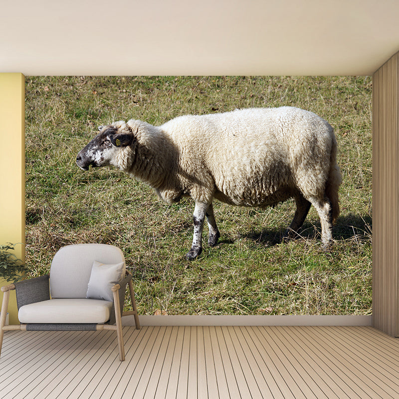 Cute Sheep Mural Decal Customized Modern Wall Covering for Living Room