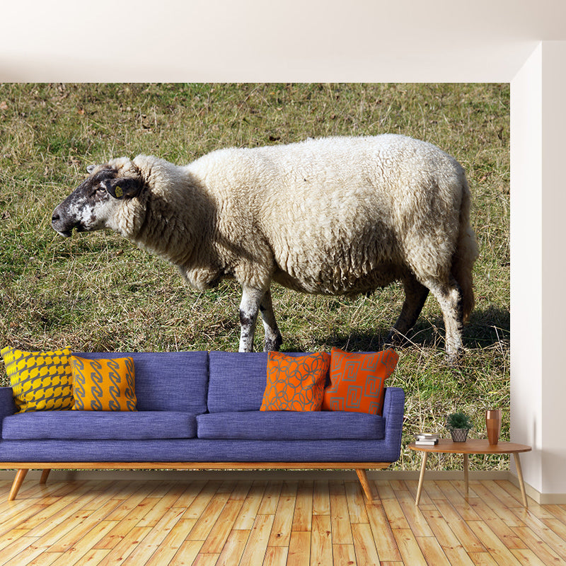 Cute Sheep Mural Decal Customized Modern Wall Covering for Living Room