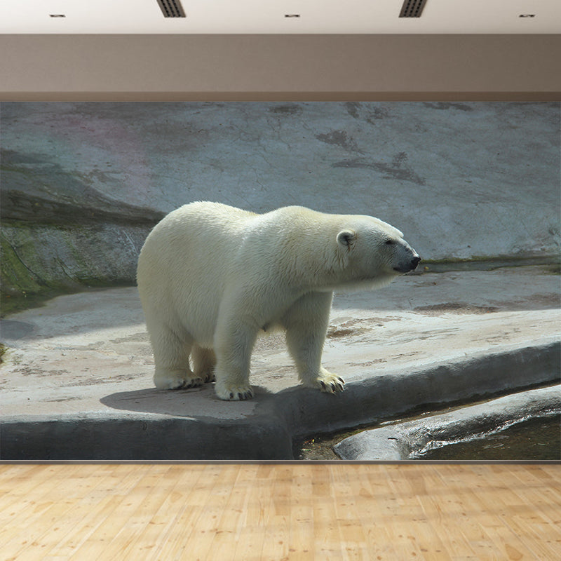 Photography Mural Wall Decor Polar Bear Mildew Resistant Living Room Wall Mural Wall Art