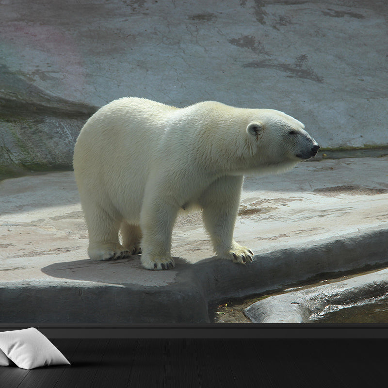 Photography Mural Wall Decor Polar Bear Mildew Resistant Living Room Wall Mural Wall Art
