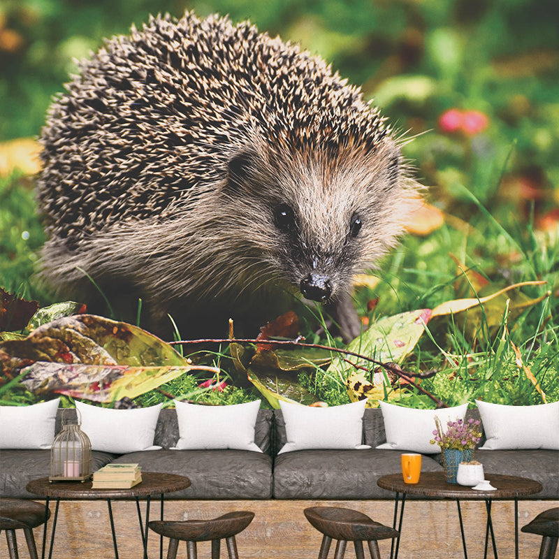 Photography Mural Wall Decor Hedgehog Mildew Resistant Living Room Wall Mural Wall Art