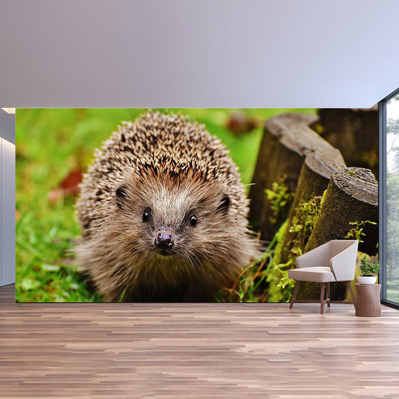 Photography Mural Wall Decor Hedgehog Mildew Resistant Living Room Wall Mural Wall Art