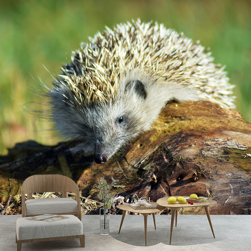 Photography Mural Wall Decor Hedgehog Mildew Resistant Living Room Wall Mural Wall Art