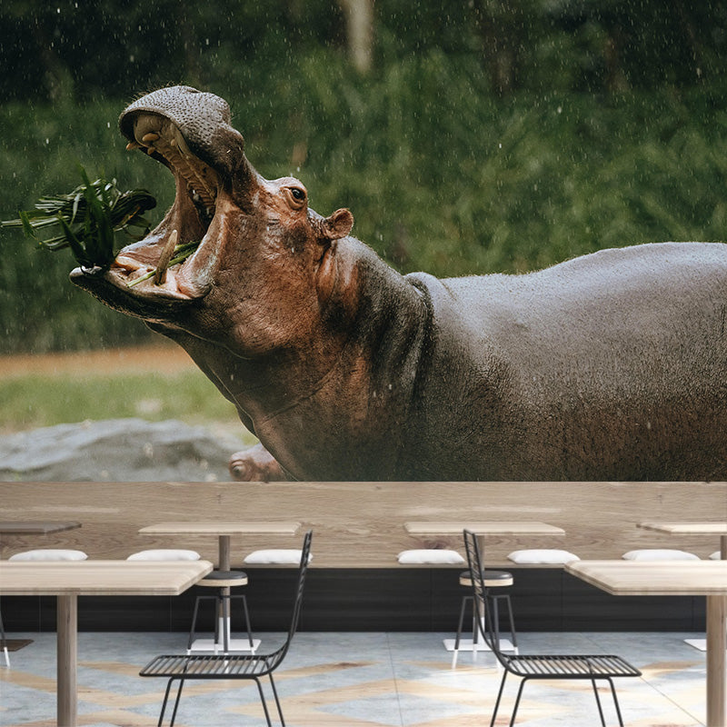 Photography Mural Wall Decor Hippo Mildew Resistant Living Room Wall Mural Wall Art