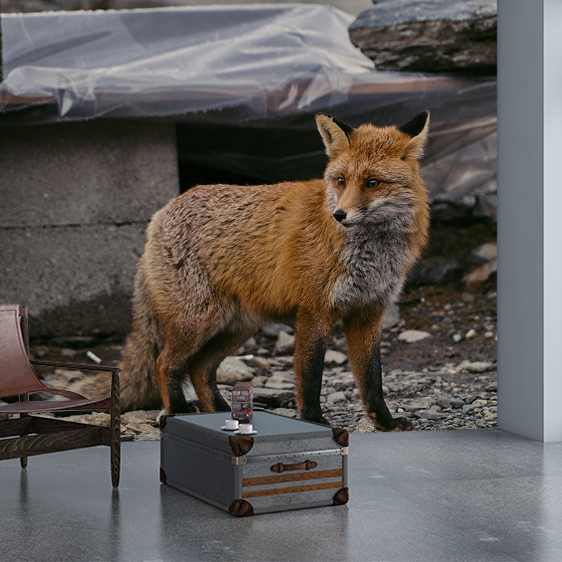Photography Mural Wall Decor Red Fox Mildew Resistant Living Room Wall Mural Wall Art