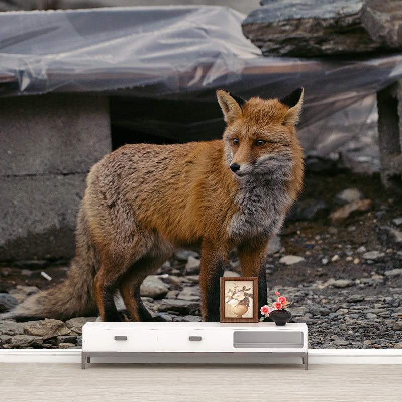 Photography Mural Wall Decor Red Fox Mildew Resistant Living Room Wall Mural Wall Art