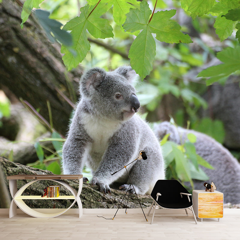 Modern Cute Koala Mural Wall Decor Mildew Resistant Living Room Wall Mural for Wall Decor
