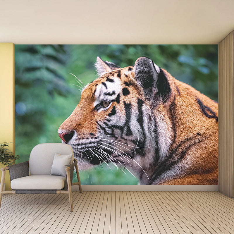 Modern Tiger Close-Up Mural Wall Decor Mildew Resistant Living Room Wall Mural for Wall Decor