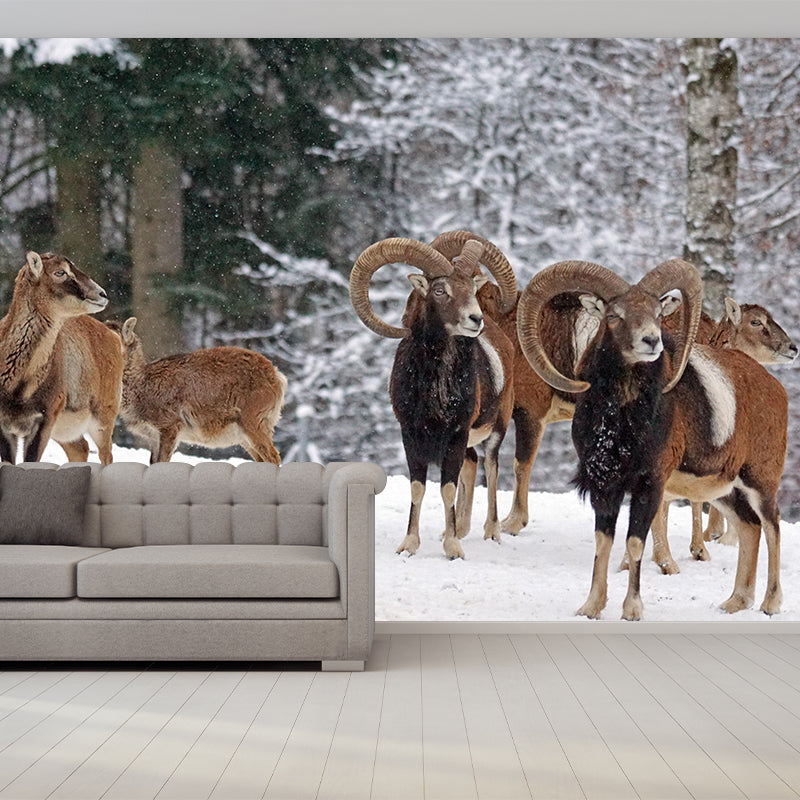 Modern Ovis Musimon Mural Wall Decor Mildew Resistant Living Room Wall Mural for Wall Decor