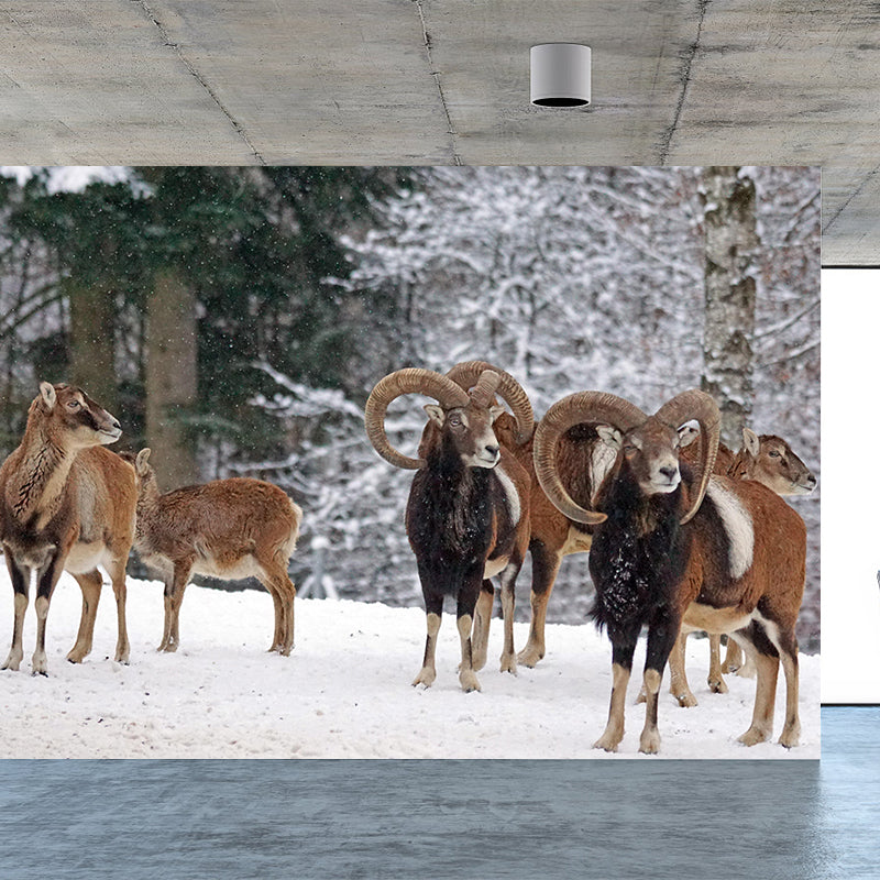 Modern Ovis Musimon Mural Wall Decor Mildew Resistant Living Room Wall Mural for Wall Decor